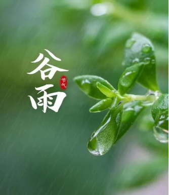 雨频霜断气温和,柳绿茶香燕弄梭左河水