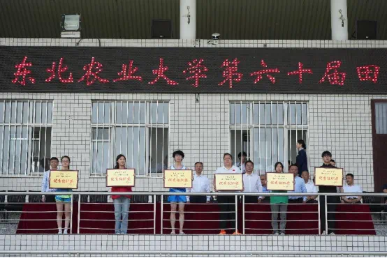 说明: 图片