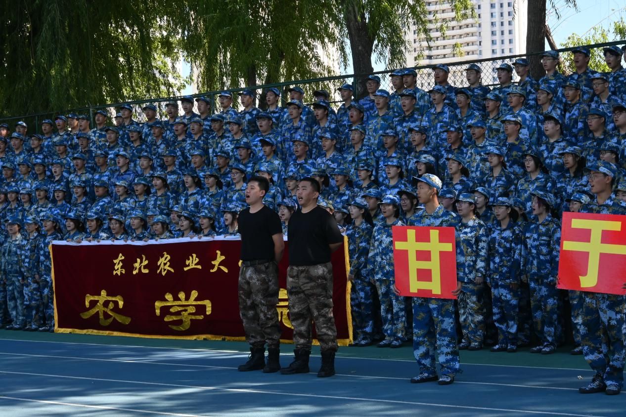 图九