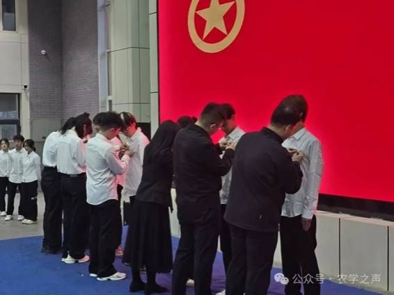 说明: 图片
