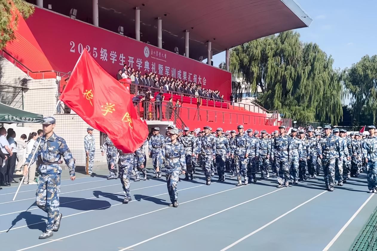 图十