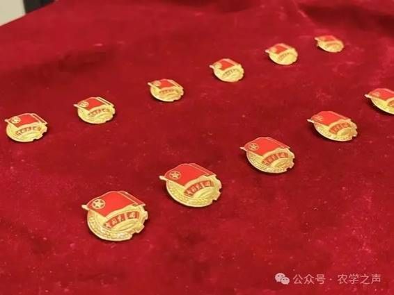 说明: 100.jpg